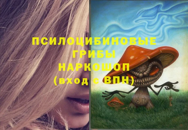 прущий лед Алзамай