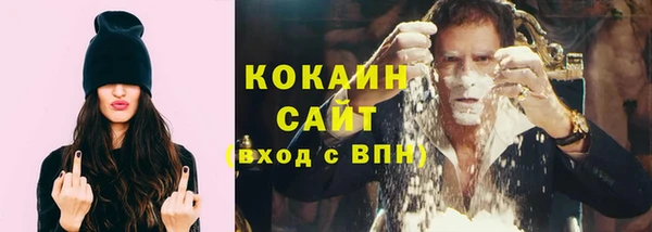 прущий лед Алзамай