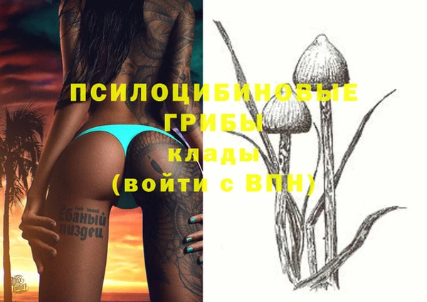 мескалин Медвежьегорск