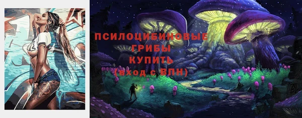 мет Алексин