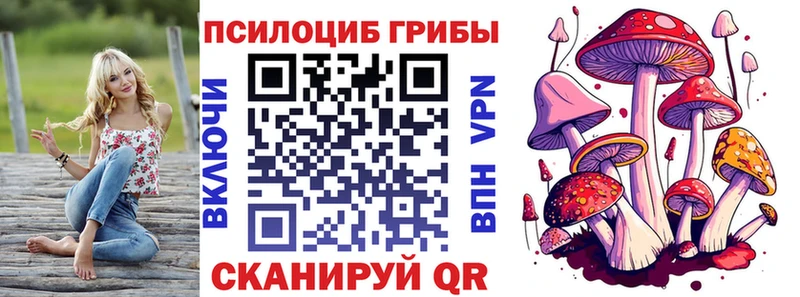 это как зайти  магазин    Уварово  Псилоцибиновые грибы Cubensis 